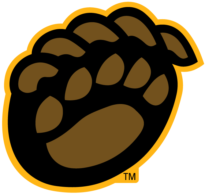 Baylor Bears 2005-Pres Alternate Logo v8 DIY iron on transfer (heat transfer)